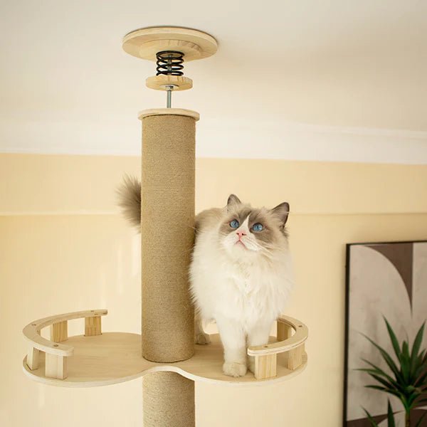 Supermarcat Solid Pine Wood Floor to Ceiling Cat Tree - Chokyo Pet