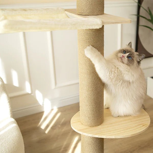 Supermarcat Solid Pine Wood Floor to Ceiling Cat Tree - Chokyo Pet