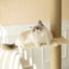 Supermarcat Solid Pine Wood Floor to Ceiling Cat Tree - Chokyo Pet