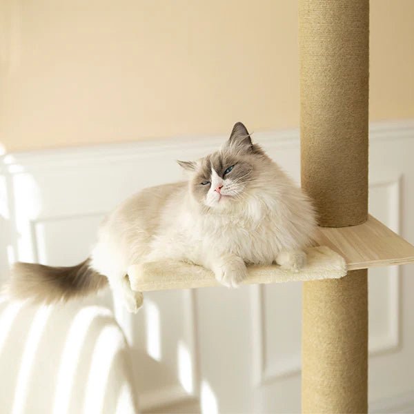 Supermarcat Solid Pine Wood Floor to Ceiling Cat Tree - Chokyo Pet