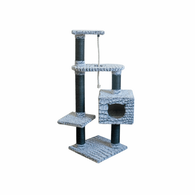 Snake Trivor - ChokyoPetStore