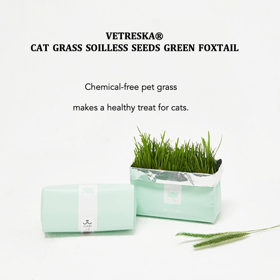 VETRESKA Cat Grass Soilless Seeds