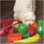 Rosewood BioSafe Germ Smart Dog Toy Watermelon
