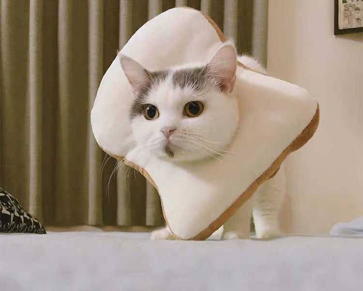 Soft Bread Slice Elizabeth Pet Recovery Cone for Cats Small Dogs