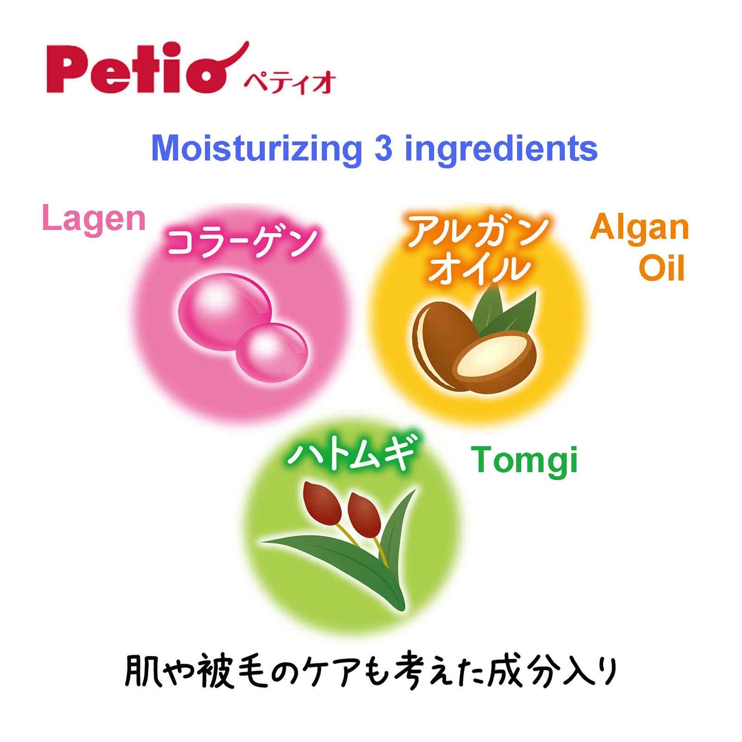 Petio Pet Paw Foam Dry Shampoo 350ml