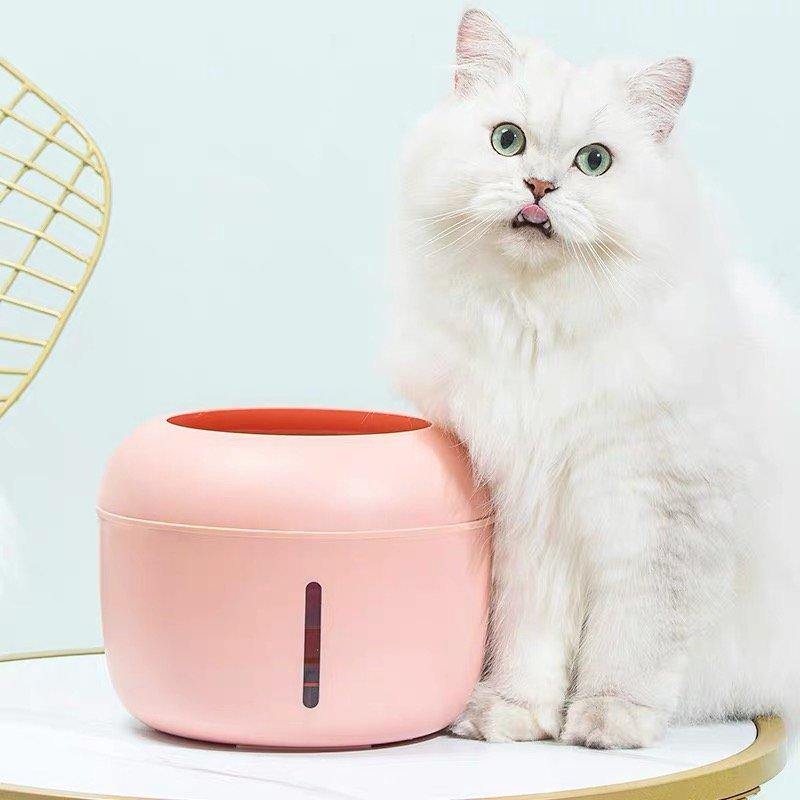 Pakeway Pet Drink Fountain Peach