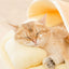 Crazy Cat Semi Open Curry Rice Pet Bed