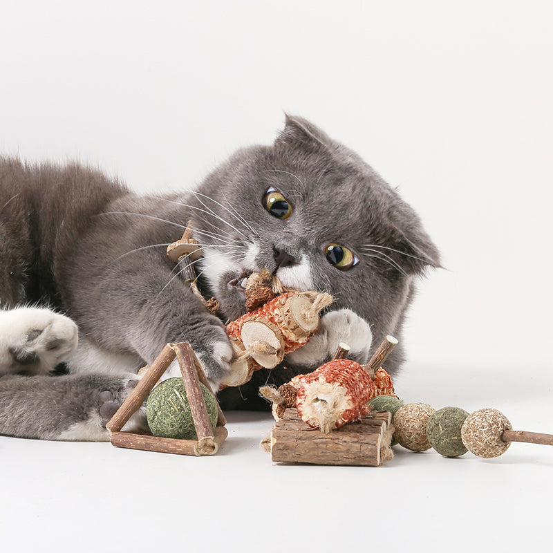 Pidan Pet Toy for Cat Silver Vine Series (Random)
